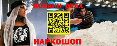 СК Бердск