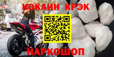СК Бердск