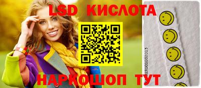 СК Бердск