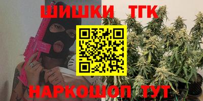 СК Бердск