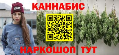 СК Бердск