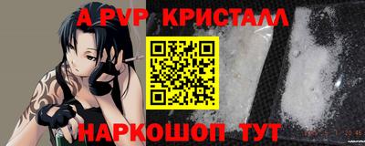 СК Бердск