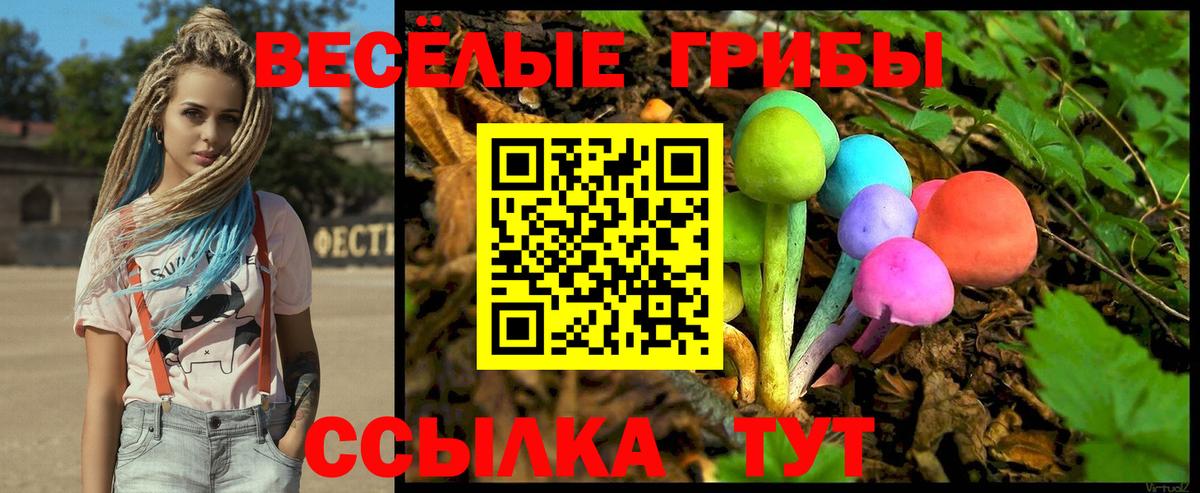 Псилоцибиновые грибы мицелий Ковров