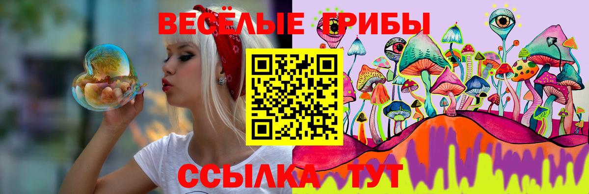 Псилоцибиновые грибы Psilocybine cubensis  Псилоцибиновые грибы GOLDEN TEACHER  Вход с VPN  даркнет сайт  Ковров 